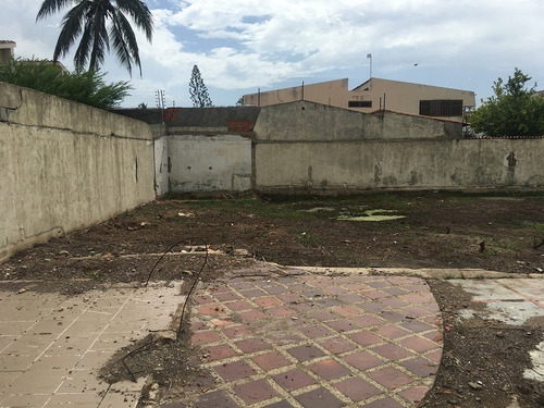 Imagen 8 de 12 de Terreno En Venta Lecheria Calle Fermin Toro Morro Ii