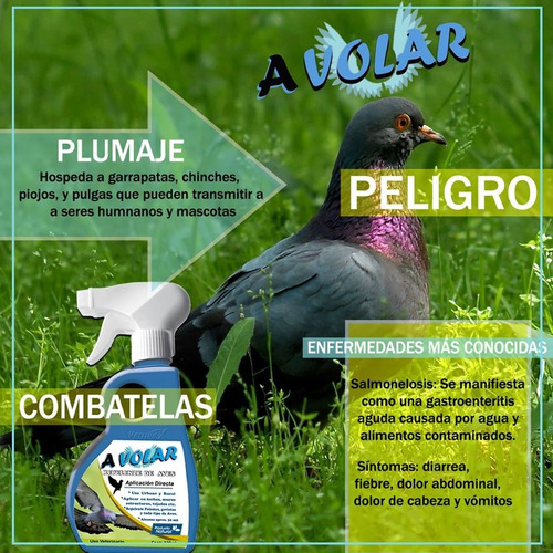 Repelente De Palomas Ahuyentador Espanta Garantizado