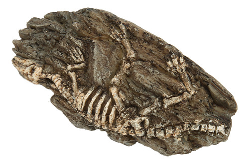 Decoración De Dinosaurio De Resina Para Pecera, Decoración D