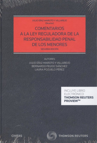 Comentarios A La Ley Reguladora De La Responsabilidad Penal 