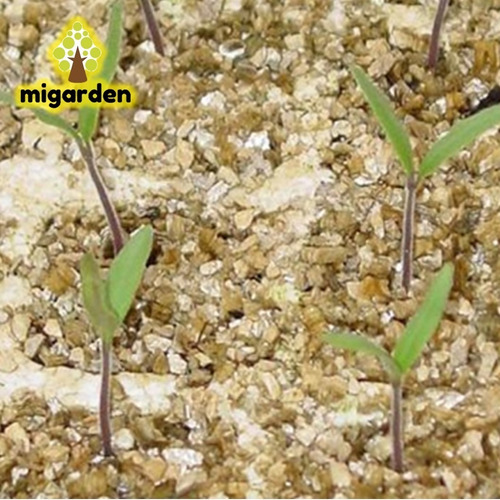 Sustrato Vermiculita Agricola Plantas Macetas 250gr