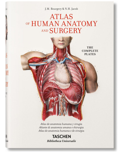 Bourgery. Atlas Of Human Anatomy And Surgery- Minor;  - * 