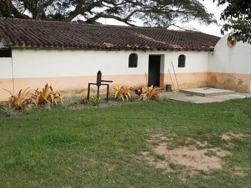 Imagen 11 de 12 de Finca En Venta En Nirgua Yaracuy Marco Sevilla C425989
