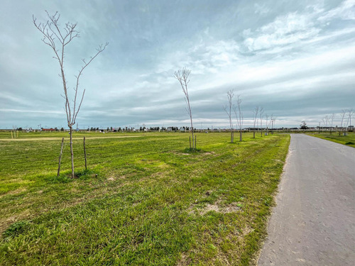 Terreno En Venta 1268m² Barrio Cerrado Vida Club De Campo, Funes, Santa Fe