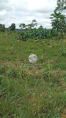 Imagem 8 de 11 de Venda Sítio Machadinho D'oeste Em Rondônia - Sia249