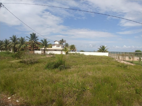 Imagem 4 de 8 de Terreno - Em Rua, Para Venda Em Ilhéus/ba - Te05