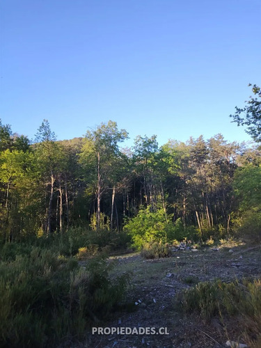 Parcela En Venta En Coihueco