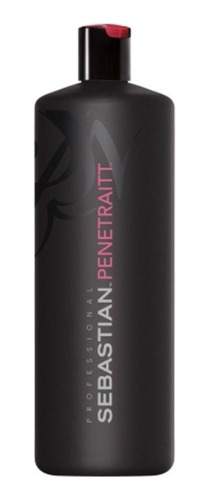 Sebastian Penetraitt Shampoo 1000ml