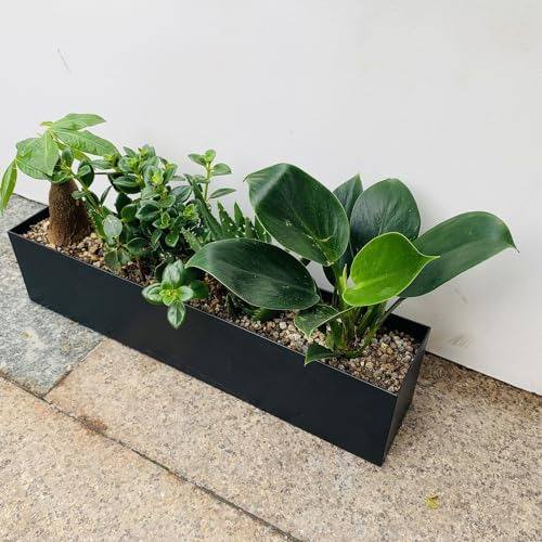 Maceta De Acero Moderna Para Plantas - Macetero Rectangular