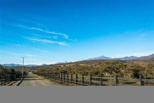 Imagen 23 de 28 de Agrícola En Venta En Zapallar