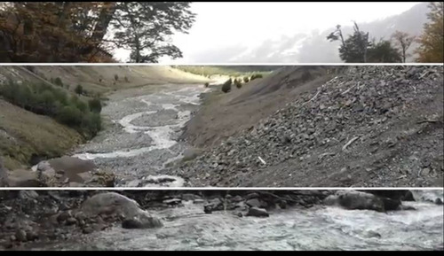 Imagen 9 de 30 de Campo 240 Ha C/ Bosque, Rios Y Glaciare Cerca Villa Castillo