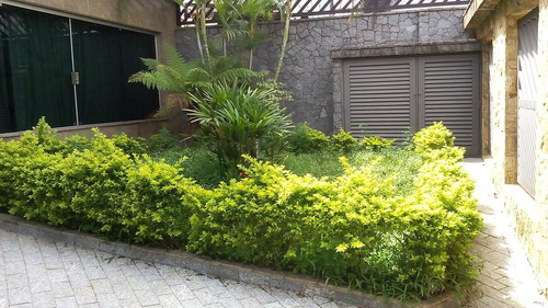 Imagem 5 de 28 de Excelente Sobrado À Venda 4 Dormitórios, 8 Vagas - Santa Maria - Santo André - 50426
