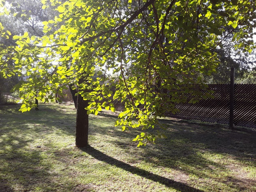 Imagen 7 de 11 de Vendo Lote Con Casa En El Talar De Mendiolaza