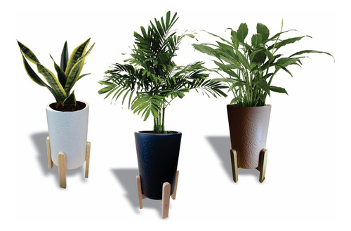 Maceta Con Soporte De Madera Artesanal