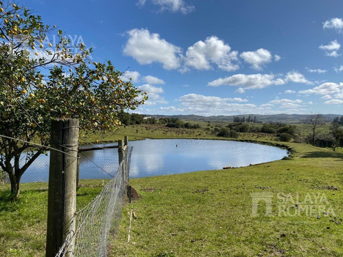 Imagen 24 de 30 de Venta 10 Ha, 3 Viviendas, Buen Potencial Turístico, Pueblo Eden, Punta Del Este Sch4818860