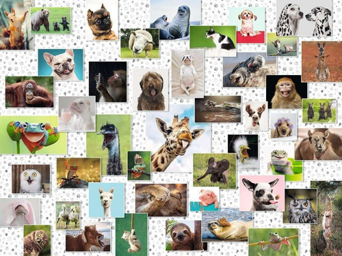 Imagen 2 de 4 de Rompecabezas Ravensburger 1500 Collage Animales Divertidos