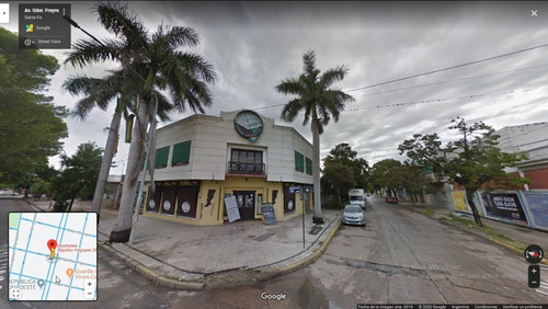 Palmera Imperial Real Cubana Roystonea Regia Granpalmera 2m