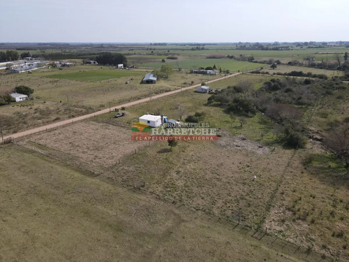Chacra En Venta Los Cerrillos, 1 Has Con Casa De Dos Dormitorios