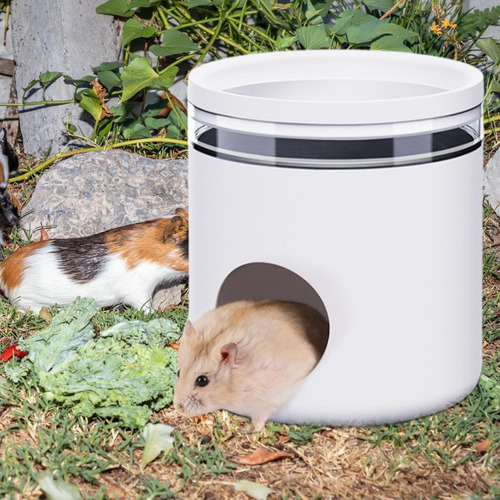 Hámster Jaula Escondidas Hámster Escondite Hamster Hide Out