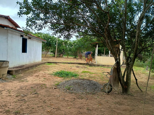 Chácara Com Casa Três Quartos Sala De Estar Cozinha E Dois B