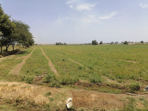 Terreno 3.60 Hectáreas En Agua Santa San Clemente De Pisco 