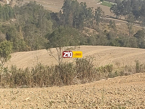 Imagem 7 de 9 de Área - Ar00202 - 32890791
