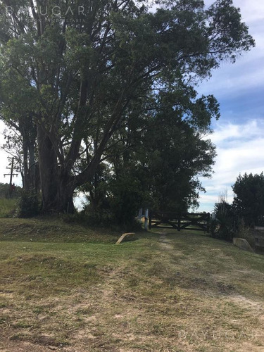 Imagen 22 de 30 de Venta - Campo En Cardales - Bayugar Negocios Inmobiliarios