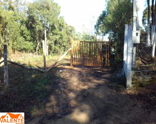 Imagem 7 de 8 de Chacara - Ch00024 - 69487829