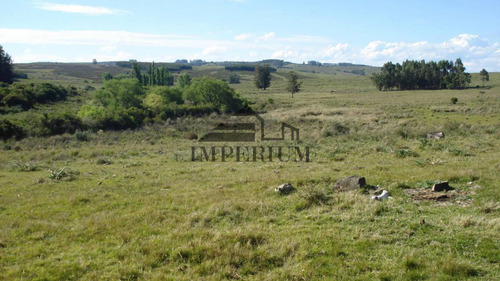 Venta, Campo 98 Hectáreas En Sierras De Carapé