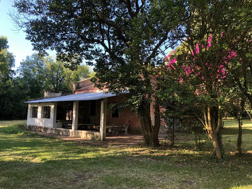 Imagen 24 de 30 de Venta - Campo Ernestina - 25 De Mayo - Rio Salado