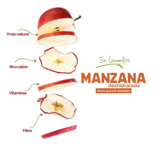 Imagen 3 de 6 de Manzana Deshidratada (caja 8 Piezas)