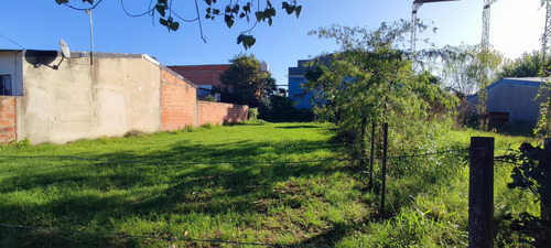 Imagen 5 de 6 de Terreno Excelentemente Ubicado