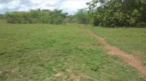 Te Vendo Excelente Finca En Santo Domingo 