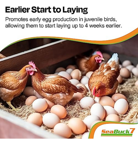 Suplemento Para Pollos Y Aves Con Espino Amarillo Para Mejor