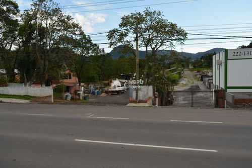 Imagem 1 de 9 de Terreno Casa Ótima Localização Ideal Para Empresa - Faixa Velha - 95236