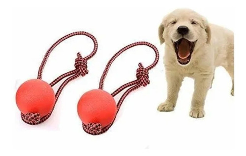 Imagen 1 de 6 de Pelota Maciza De Goma Fuerte Para Perro Con Cuerda Ø5cm
