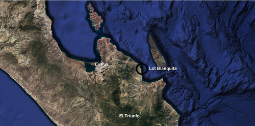 Lot Blanquita