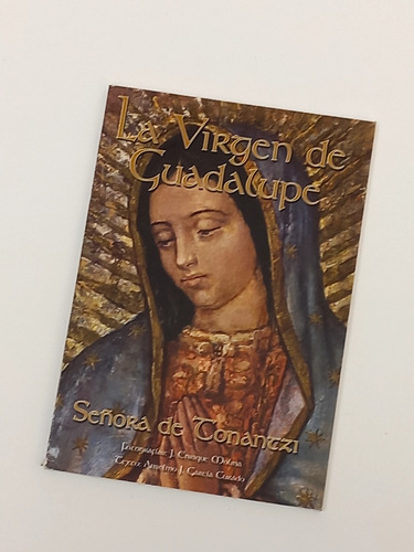 La Virgen De Guadalupe Señora De Tonantzin 