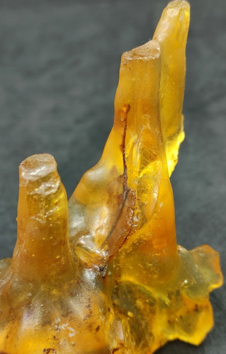 Espécimen Resina Copal Con Inclusión Araña Y Una Hoja Ámbar