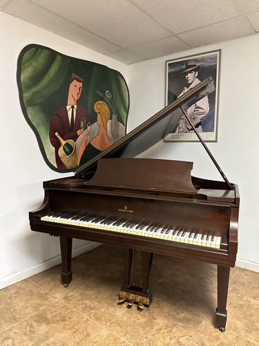 Elegancia Y Excelencia Musical Piano De Cola Steinway & Sons