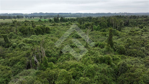 Agrícola En Venta En Lago Ranco La Unión