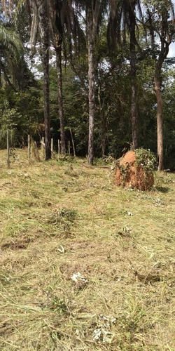 Chácara Muito Linda, Arborizada.