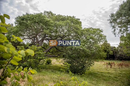 Casa En Punta Del Este, Golf