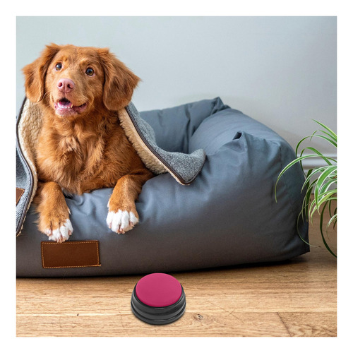 Juguete Interactivo Para Perros Con Botón De Sonido