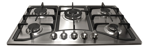 Parrilla Gas Naesi 5 Quemadores Acero Inoxidable Color Plateado