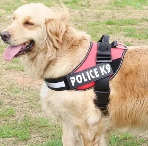 Arnés Perchera K9 Acolchonado Cómo Para Sus Mascotas Talla M