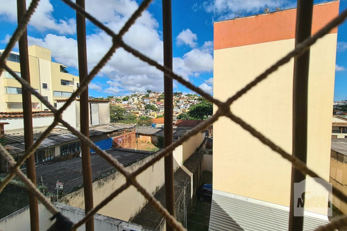 Imagem 8 de 15 de Apartamento À Venda No Havaí - Código 315783 - 315783