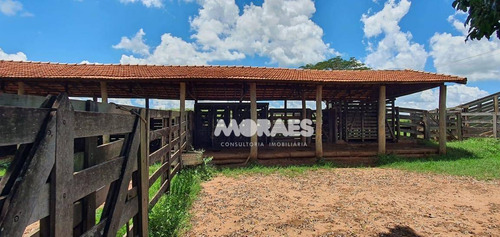 Imagem 7 de 18 de Fazenda Na Região De Bauru À Venda, 118 Alq Por R$ 15.000.000 - Bauru - Bauru/sp - Fa0016