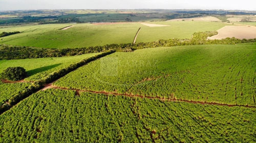 Excelente Fazenda Para Venda Em Itapetininga-sp, Com 244 Alqueires, Formada Em Cana, Frente Para Rodovia Castelo Branco, Rica Em Agua, Rio Nos Fundos - Fa00084 - 69245340