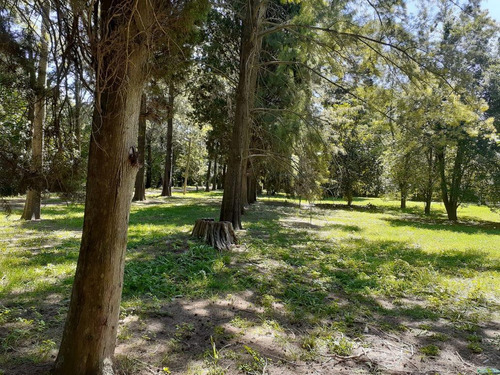 Venta De Lotes En Santa Rosa